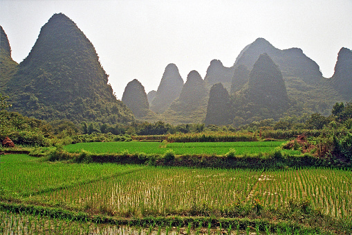 yangshuo landscape in the morning