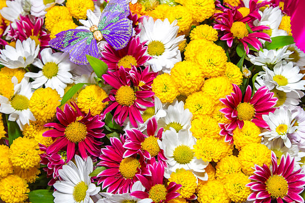 bouquet de rosas amarelas e brancas flores e borboleta roxo - artex imagens e fotografias de stock