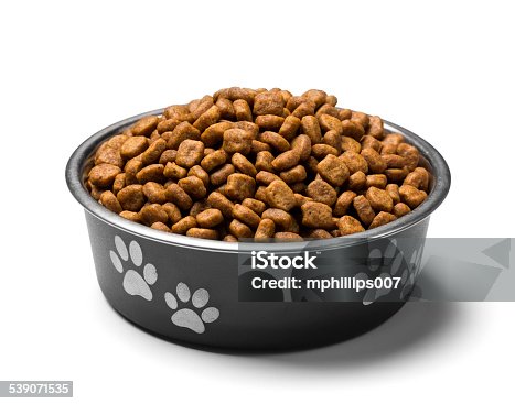 istock Bowl of Dog Food 539071535