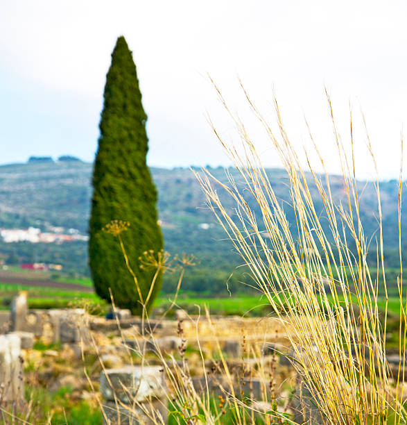 volubilis in morocco africa the old roman deteriorated monument and site