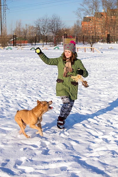 istock Young woman playing with American Pit Bull Terrier in winter 539072137
