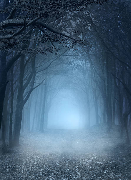 ilustrações, clipart, desenhos animados e ícones de blue nevoeiro floresta - fog road spooky mist