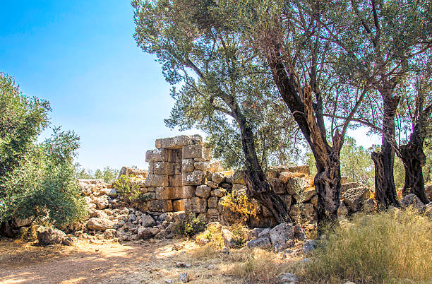 istock Sedir island, Mugla, Turkey 539078057