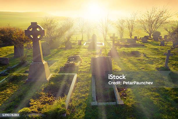 Afterlife Stock Photo - Download Image Now - 2015, Afterlife, Agricultural Field