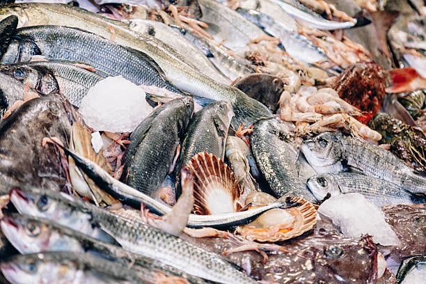 pescados y mariscos en el hielo - catch of fish gilt head bream variation fish fotografías e imágenes de stock