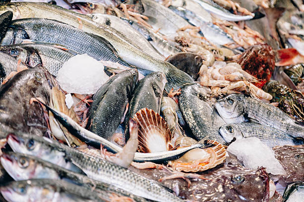 de marisco fresco no gelo - catch of fish gilt head bream variation fish imagens e fotografias de stock