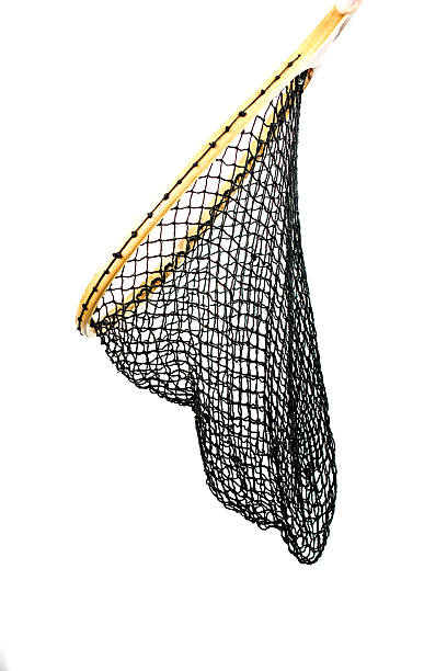 istock Side View Trout Fishing Net on White 539078475