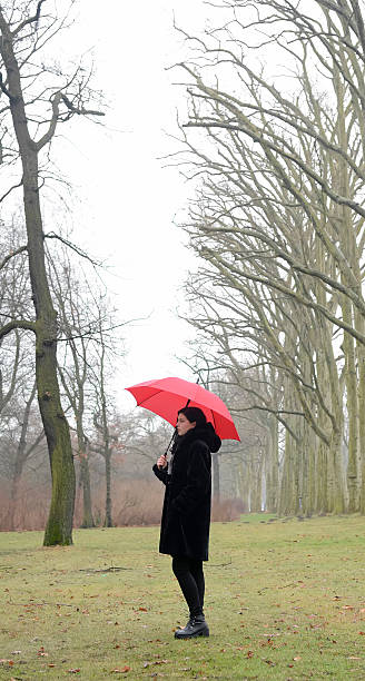 istock Germany, Berlin, young woman with red umbrella in park 539079033