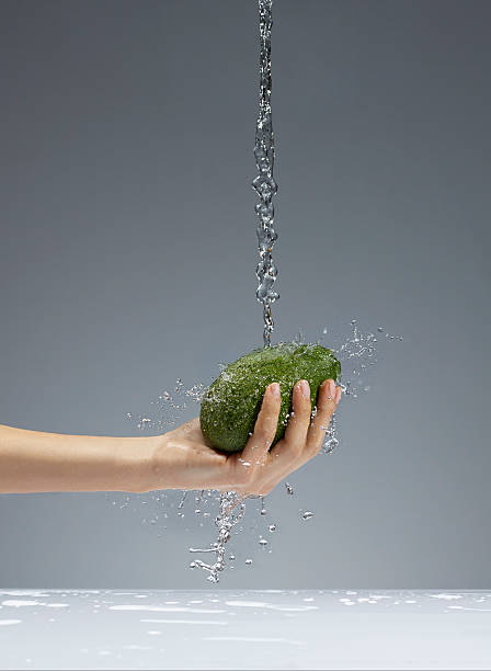 Washing Avocado