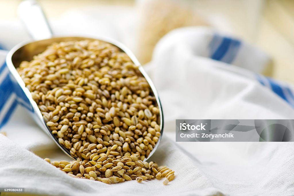 barley groats in a metal shovel. 2015 Stock Photo