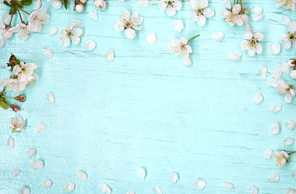 istock Wooden light blue background decorated with cherry flowers 539086154