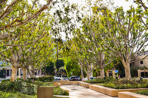 aussicht auf die warner brothers studios gebäude - warner bros stock-fotos und bilder