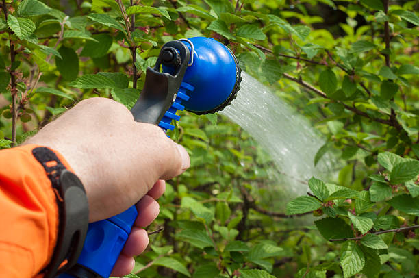 istock Hand of a man with gardening tools on plant background 539089298