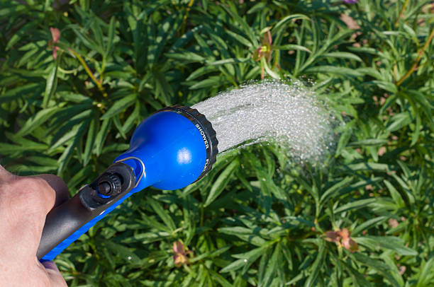 istock Hand of a man with gardening tools on plant background 539089588