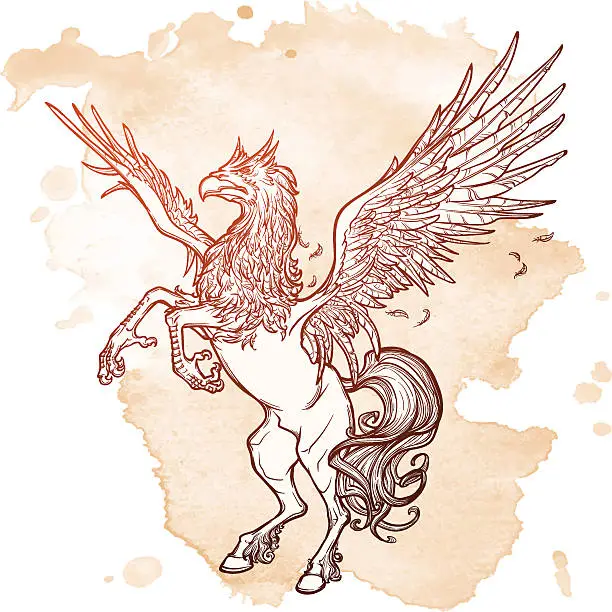 Vector illustration of Hippogriff or Hippogryph supernatural beast. Sketch on a grunge background