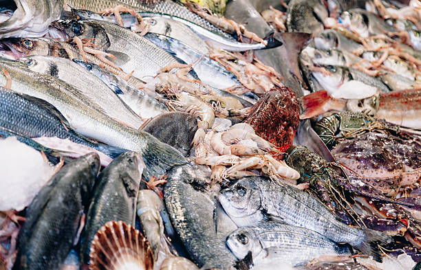 pescados y mariscos en el hielo - catch of fish gilt head bream variation fish fotografías e imágenes de stock