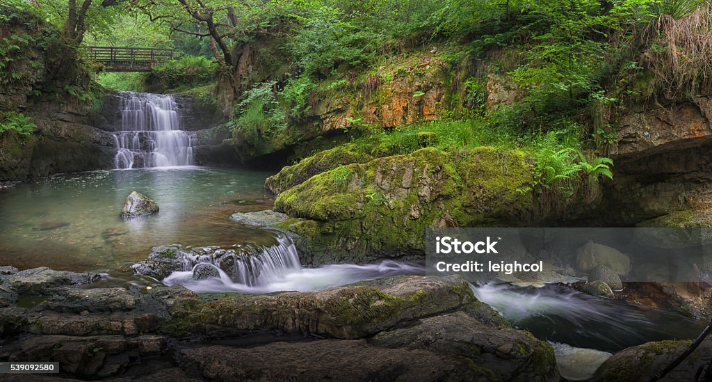 Cascata no Dinas Rock - Foto de stock de Cascata royalty-free