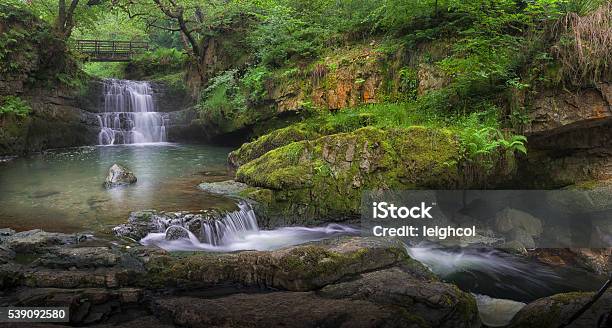 Foto de Cascata No Dinas Rock e mais fotos de stock de Cascata - Cascata, Brecon Beacons, Sul do País de Gales