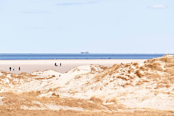 istock Beach of St. Peter-Ording, Germany 539092783