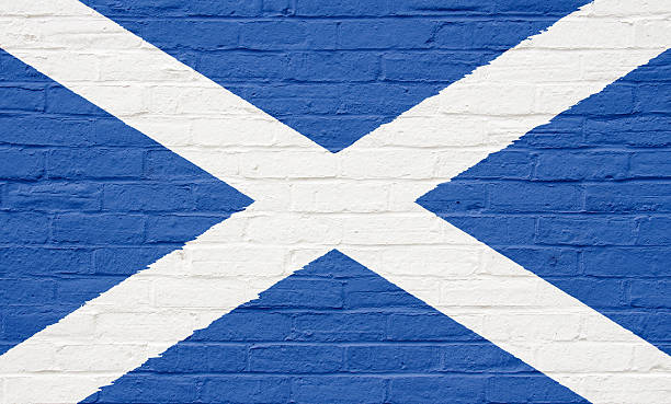 bandiera della scozia - european union flag european community photography textured effect foto e immagini stock