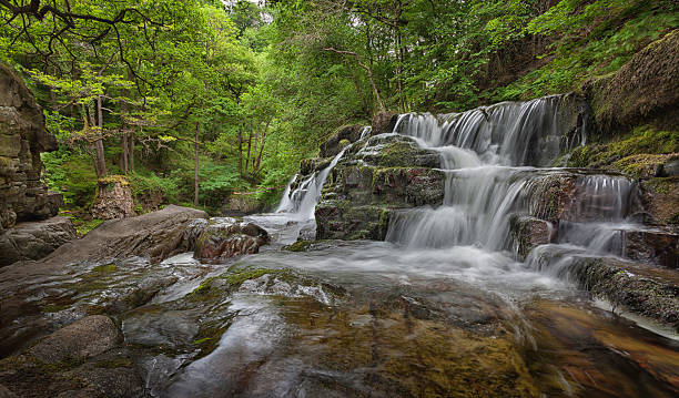 istock Sgwd and Pannwr 539093112