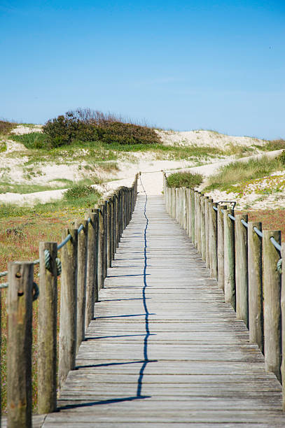 istock Wooden path to the beach, Portugal 539098434
