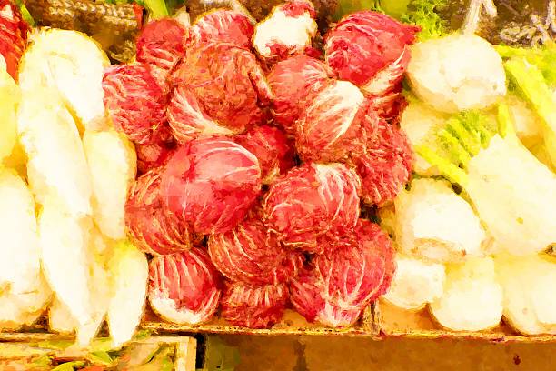 Watercolor paint effect. Fresh bio fennel, farmer agricultural market