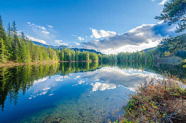 istock Lake Lucille in Winter 539105163
