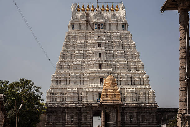 istock Kamakshiamman Temple in Kanchipuram. 539105658