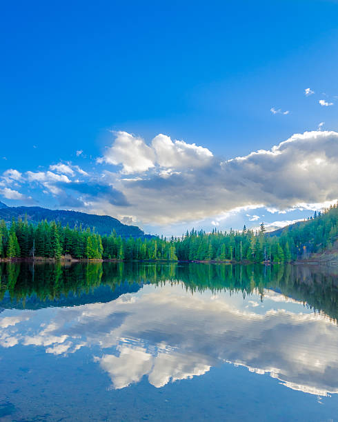 istock Lake Lucille in Winter 539105727