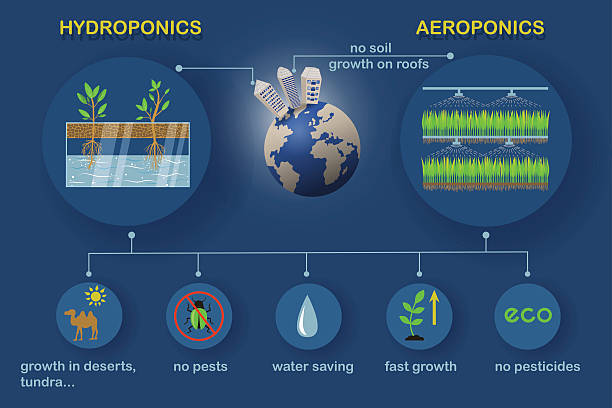 aeroponic und hydroponische systeme - aeroponics stock-grafiken, -clipart, -cartoons und -symbole