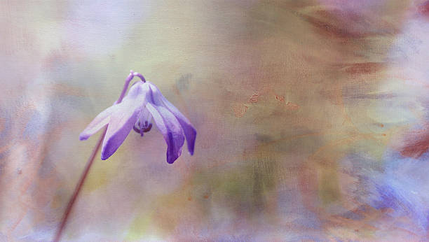 istock Artistic paint composition textured watercolor, Siberian Squill 539108418