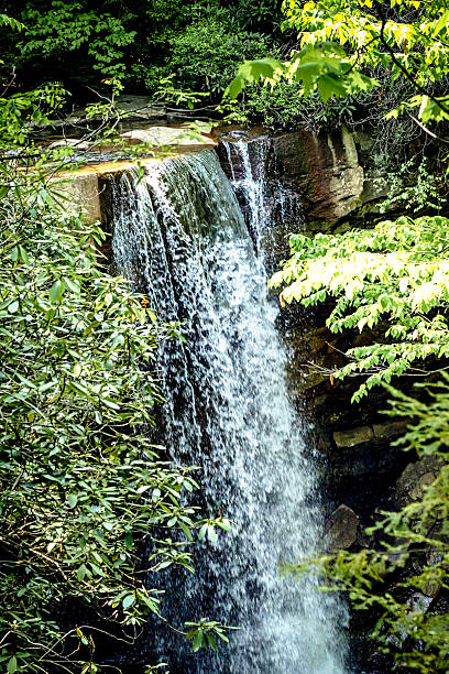 istock Cucumber Falls in the Ohiopyle State Park Pennsylvania 539109224