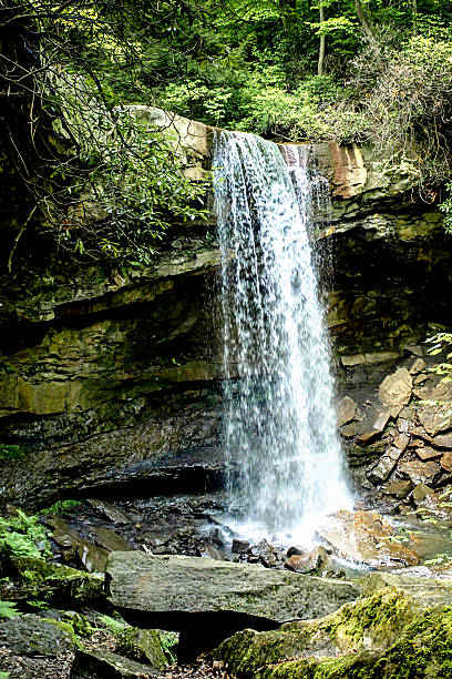 istock Cucumber Falls in the Ohiopyle State Park Pennsylvania 539109318