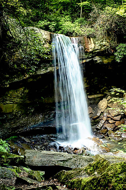 istock Cucumber Falls in the Ohiopyle State Park Pennsylvania 539109344