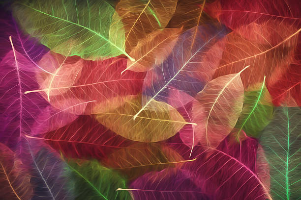 istock Abstract colorful Skeleton magnolia leaves, wallpaper 539112436