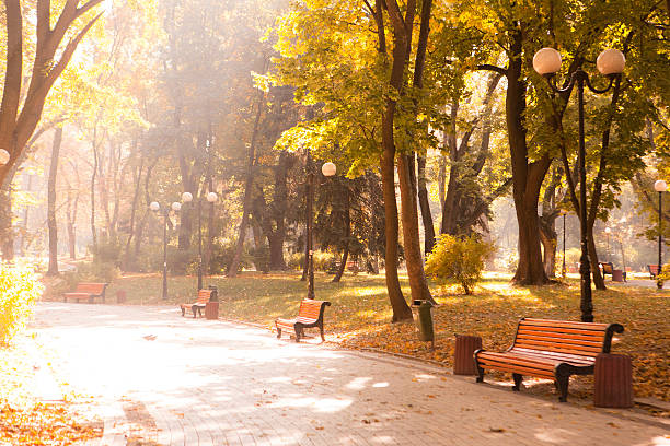 istock Bench in autumn park. Autumn landscape 539113548