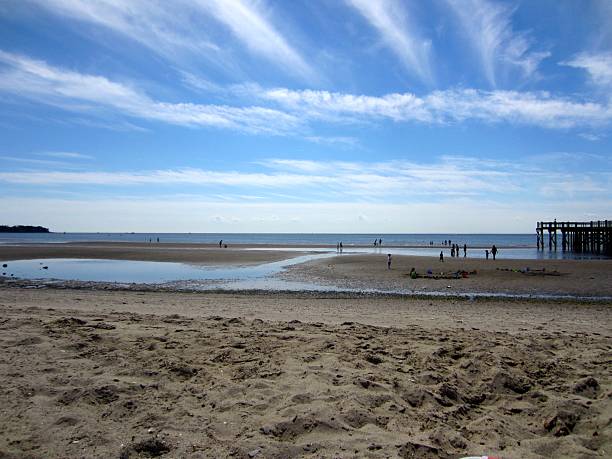 istock Walking the Sandbars at Low Tide 539116712
