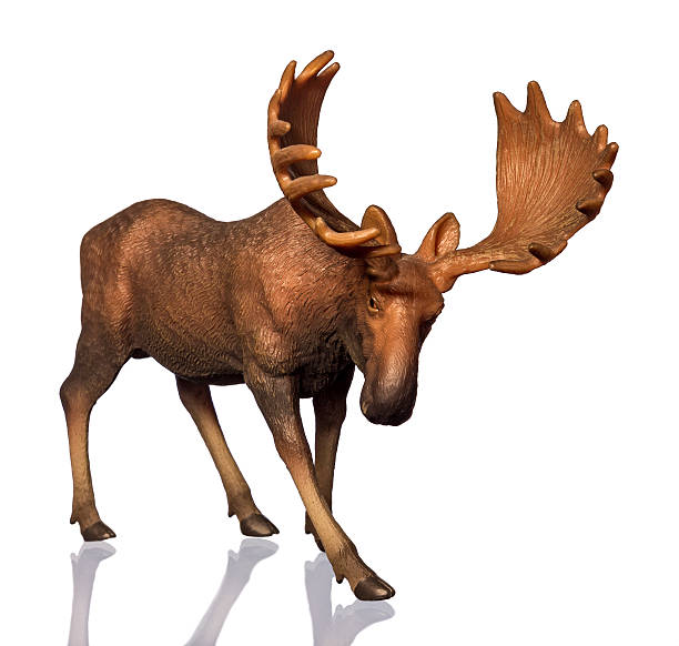 istock Figure of a moose 539116990