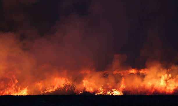 istock Prairie Fire in Iowa 539118039