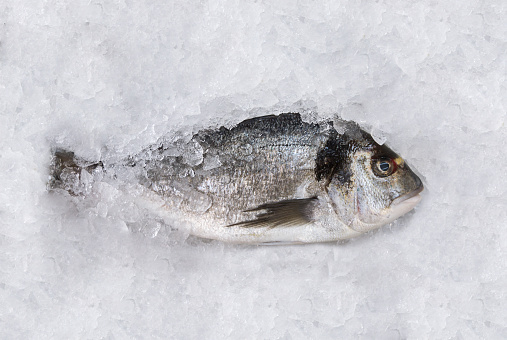 Horizontal top view of a dorada fish on an ice table at the market