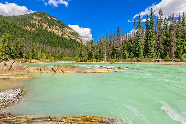 istock Mountain River in British Columbia, Canada. 539119519