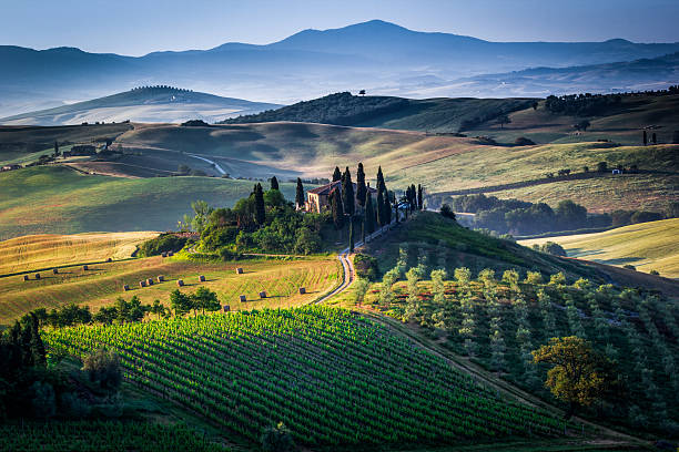 istock The Tuscan Landscape 539119925