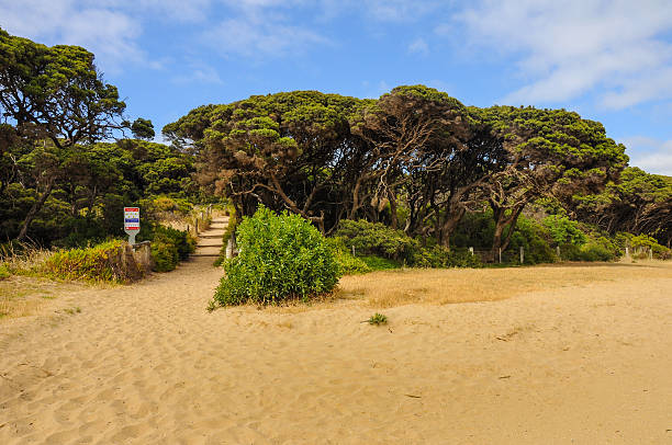 istock The lush greenery on the shores 539120196