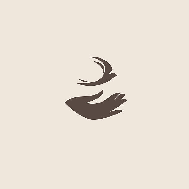 Swallow bird vetor logotipo modelo abstrato design - ilustração de arte em vetor