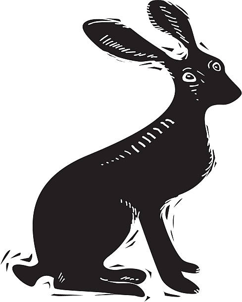 hare - baumwollschwanzkaninchen stock-grafiken, -clipart, -cartoons und -symbole