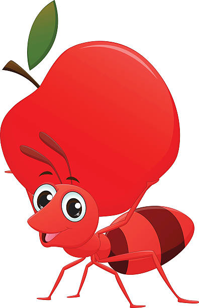 happy ant cartoon with apple vector illustration of happy ant cartoon with apple ant clipart pictures stock illustrations
