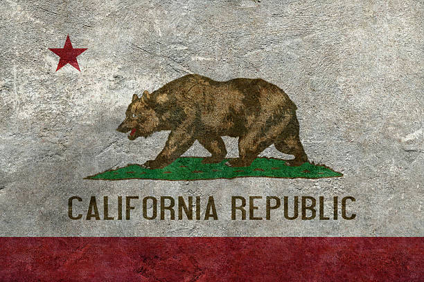 istock Flag of California 539126762