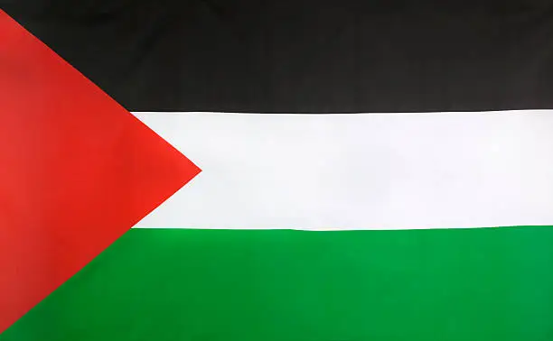 Photo of State of Palestine Flag real fabric seamless close up