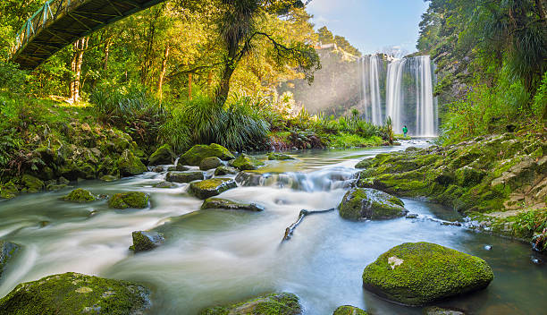 황거레이 폴즈 뉴질랜드 - north island new zealand 뉴스 사진 이미지